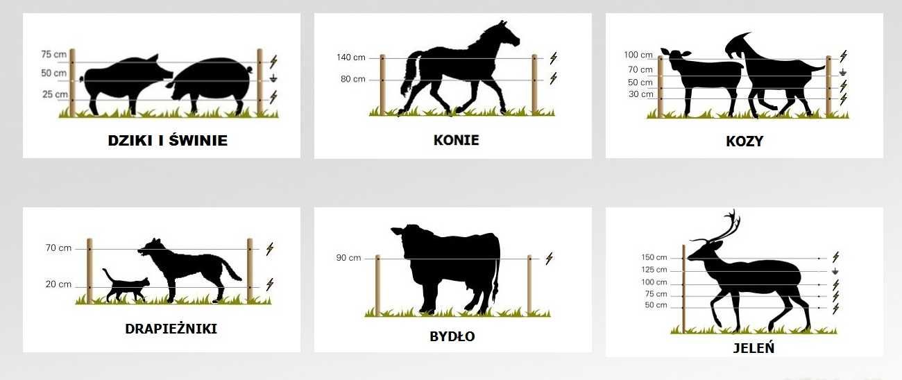 Pastuch elektryczny REXIO 12/230V uniwersalny 12000V! Darmowa wysyłka!