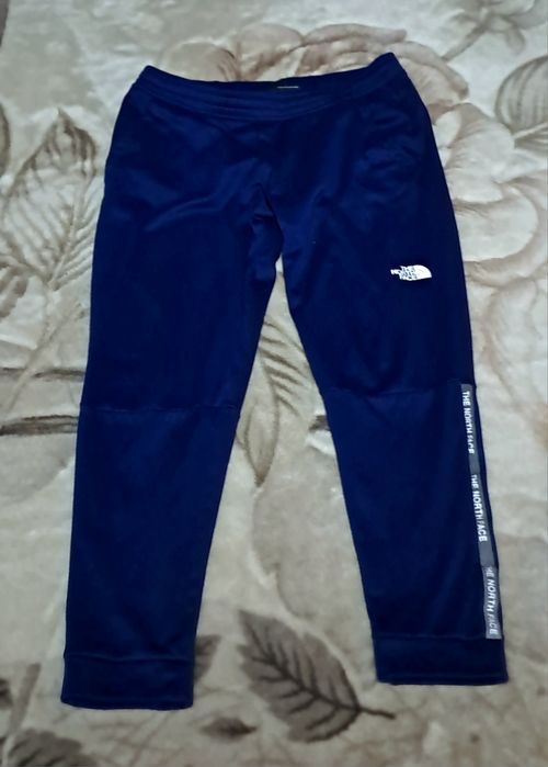 Спортивные штаны The north face