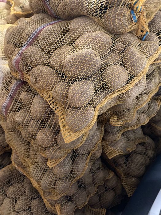 ziemniaki jadalne denar hurt i detal