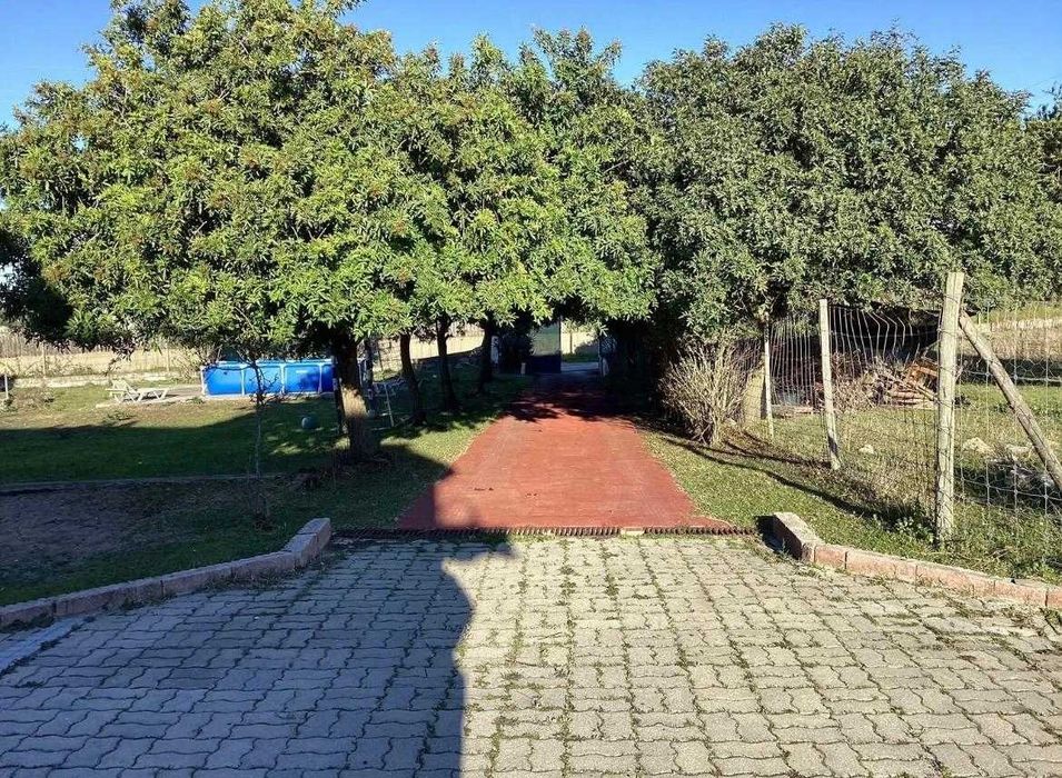 Quinta Pontével- Cartaxo 17.700m2