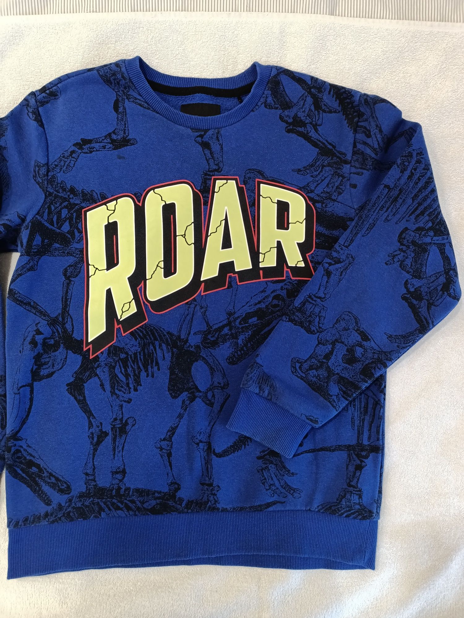 Bluza dinozaury Dino Reserved 146 152