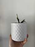Vaso branco ikea