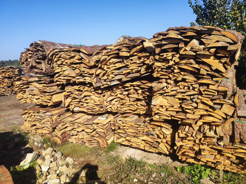 Opał oszasty sosnowe