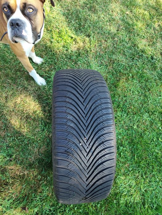 Opona zimowa Michelin Alpin5 225/45R17 91H