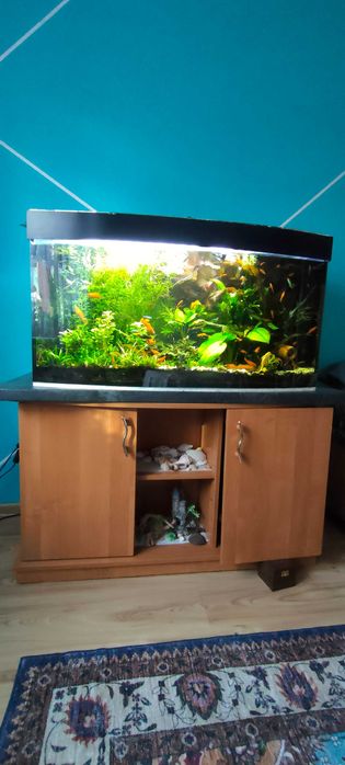 Akwarium 250 litrow