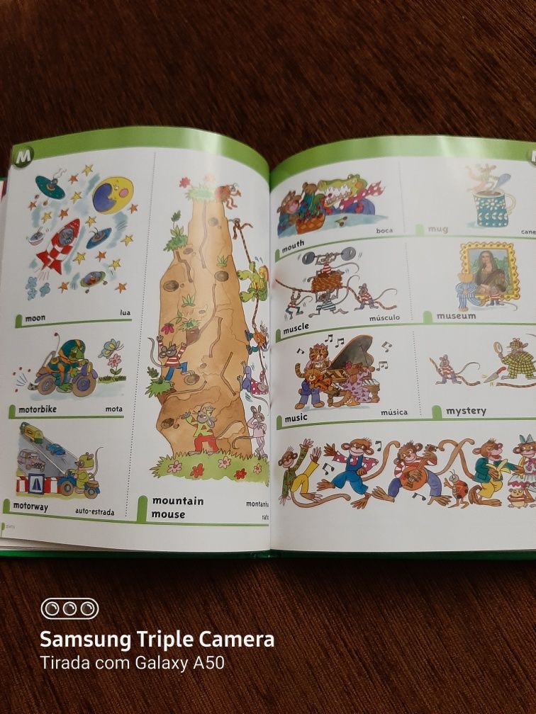 Dicionário infantil ilustrado inglês-português  como novo