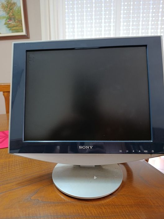 Monitor Sony a funcionar