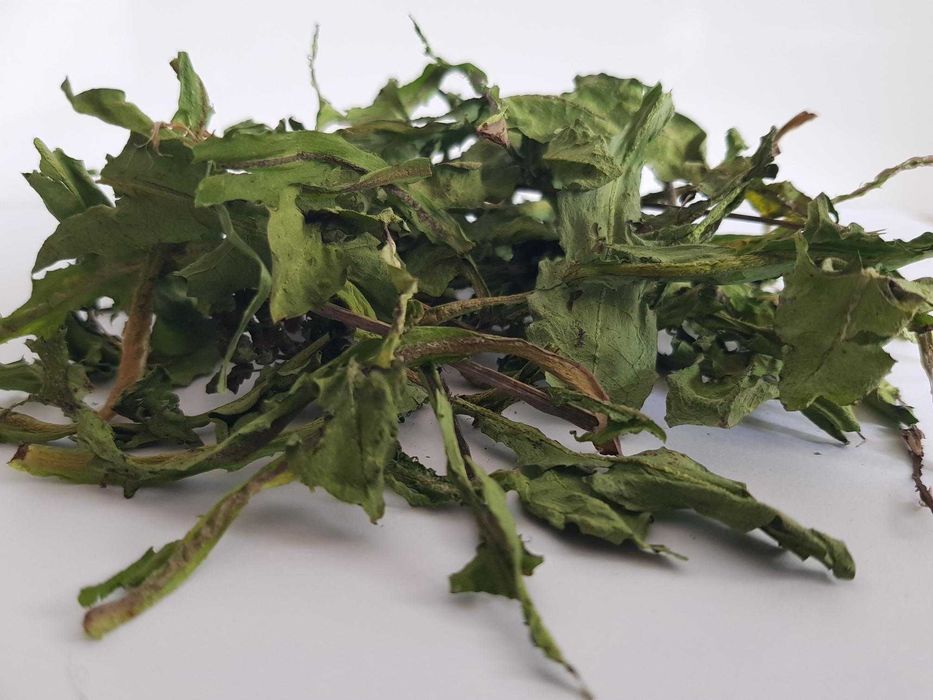 Suszone liście mniszka lekarskiego 100g zioła dla królika, świnki,