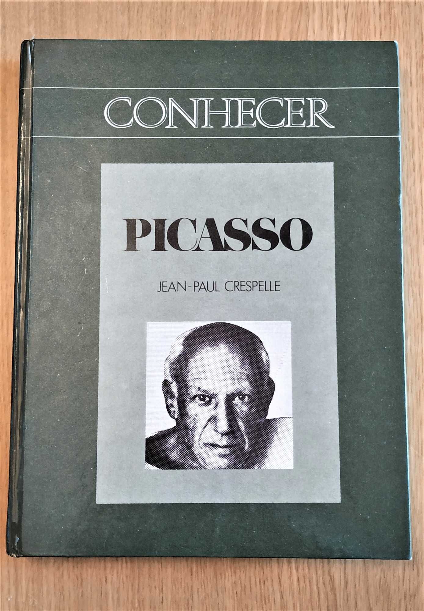 Conhecer Picasso