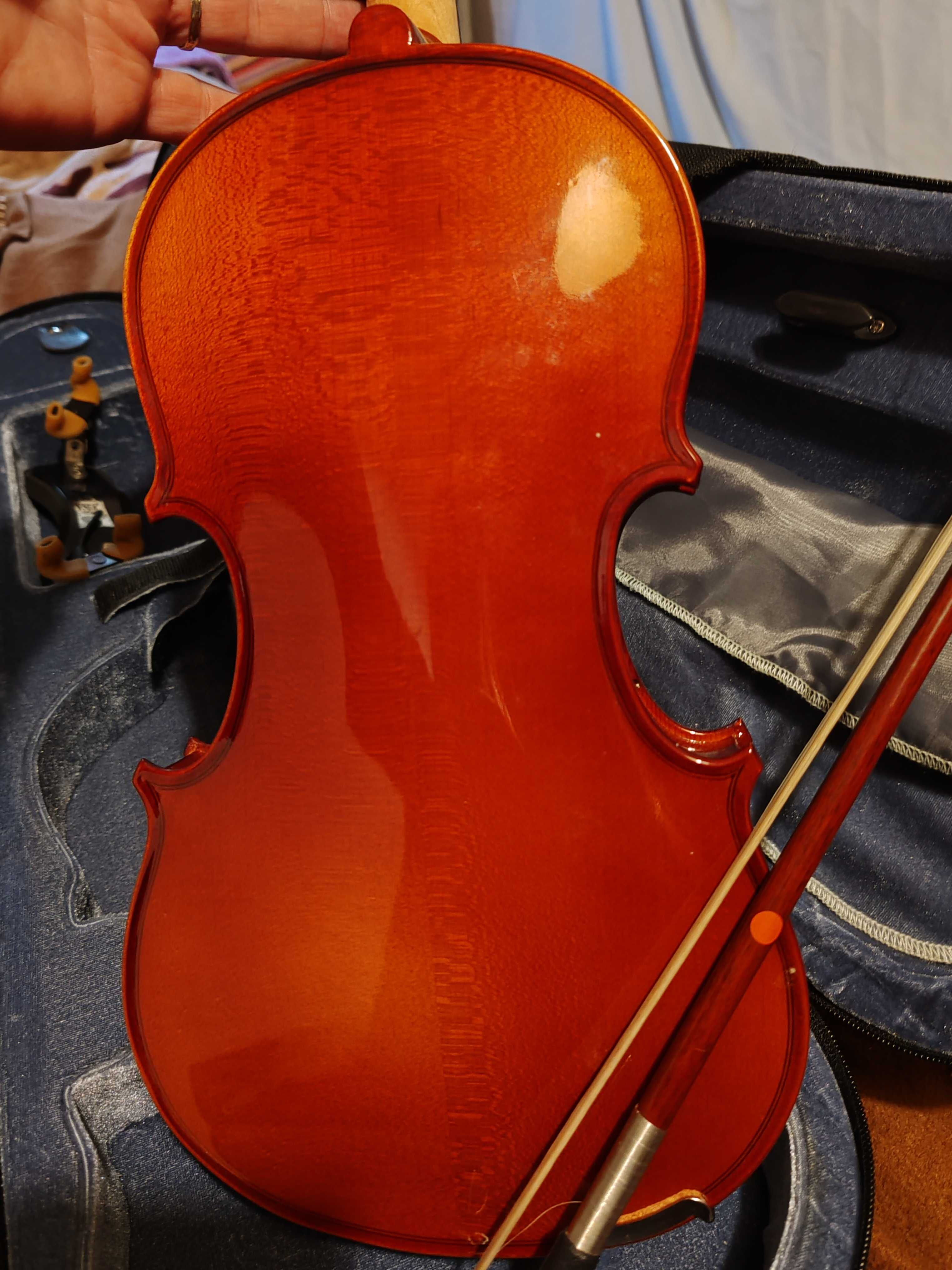Violino com estojo