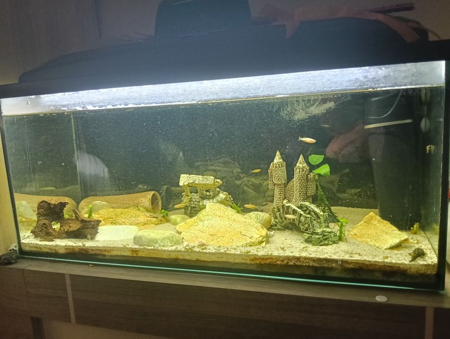 Akwarium 100 litrów