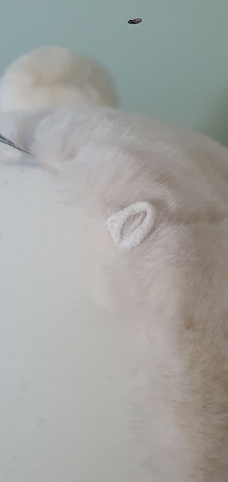 Urso polar de peluche de parede