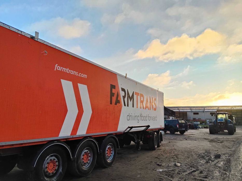 Naczepa do warzyw taśmowa