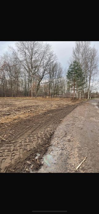 Dzialka muchomora Konstancin jeziorna