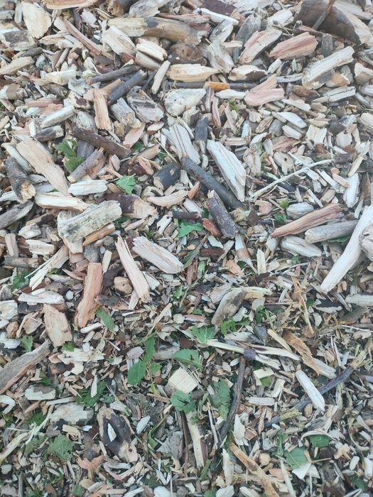 Zrębka leśna wieksza ilość oraz drzewo opałowe brzoza