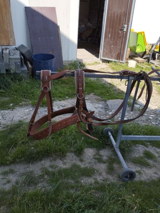 Sprzedam szory puszorki