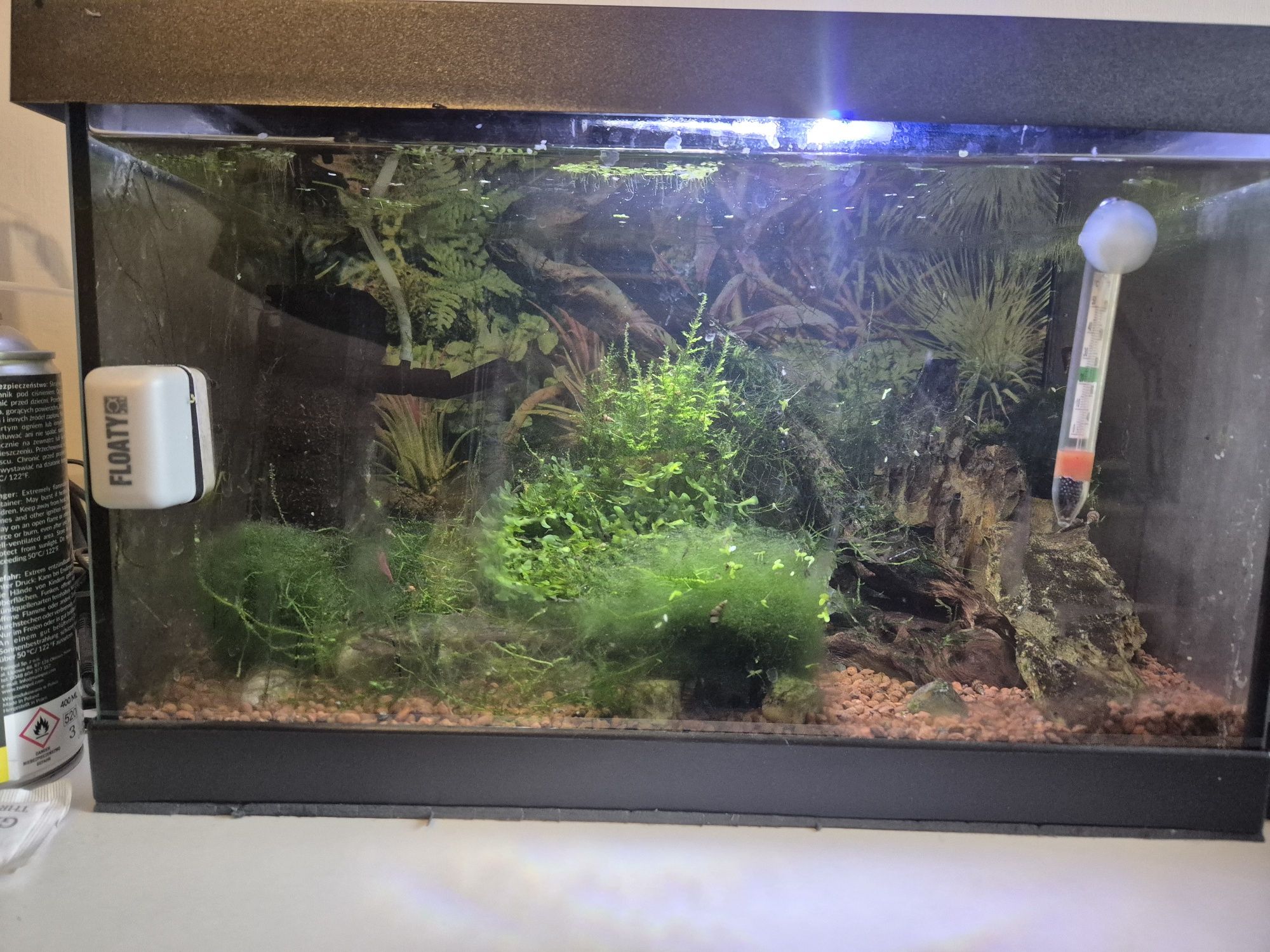 Sprzedam akwarium 25l