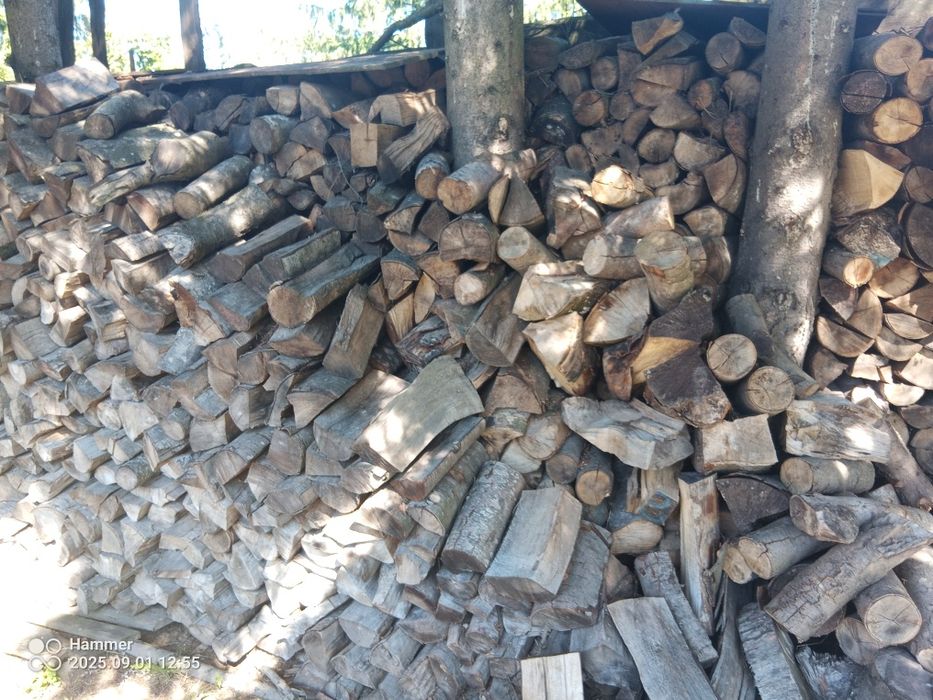 Drewno opałowe kominkowe Buk