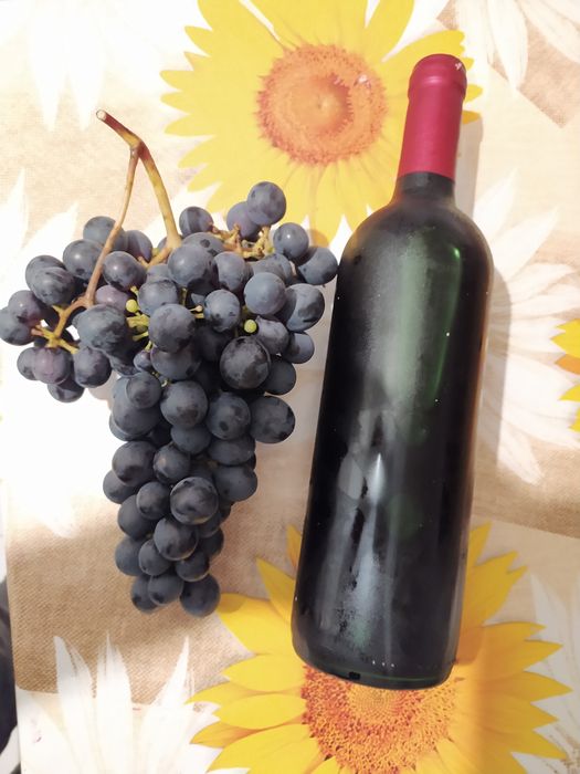 Sadzonki 2 winorośli wino i soki parafinam mikoryza wysylka