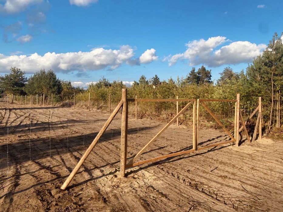 Montaż ogrodzenia z siatki leśnej. Wytrzymałe ogrodzenie tymczasowe