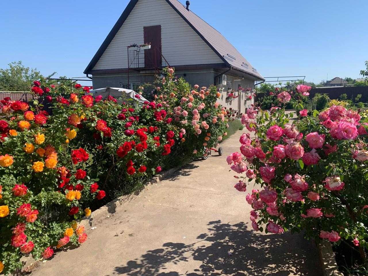(13)  Продам затишний будинок в с.Велика Балка (Нерубайське).