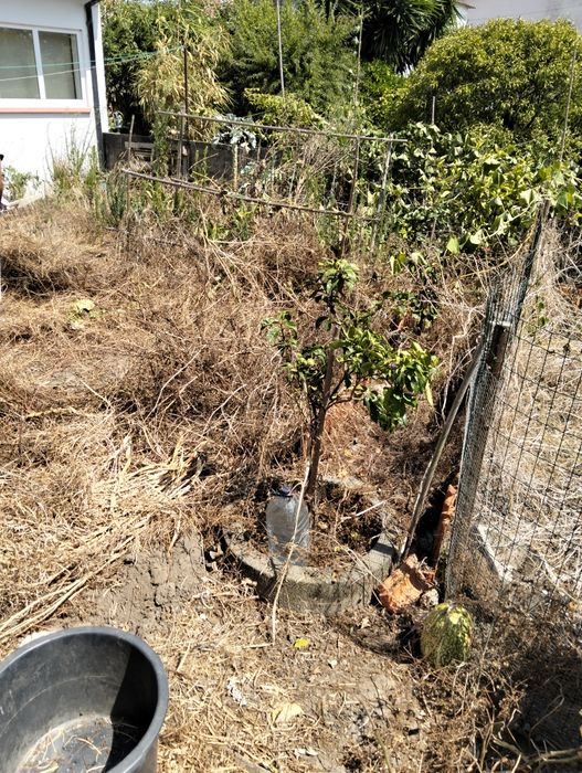 Jardinagem, limpeza de terrenos e serralharia