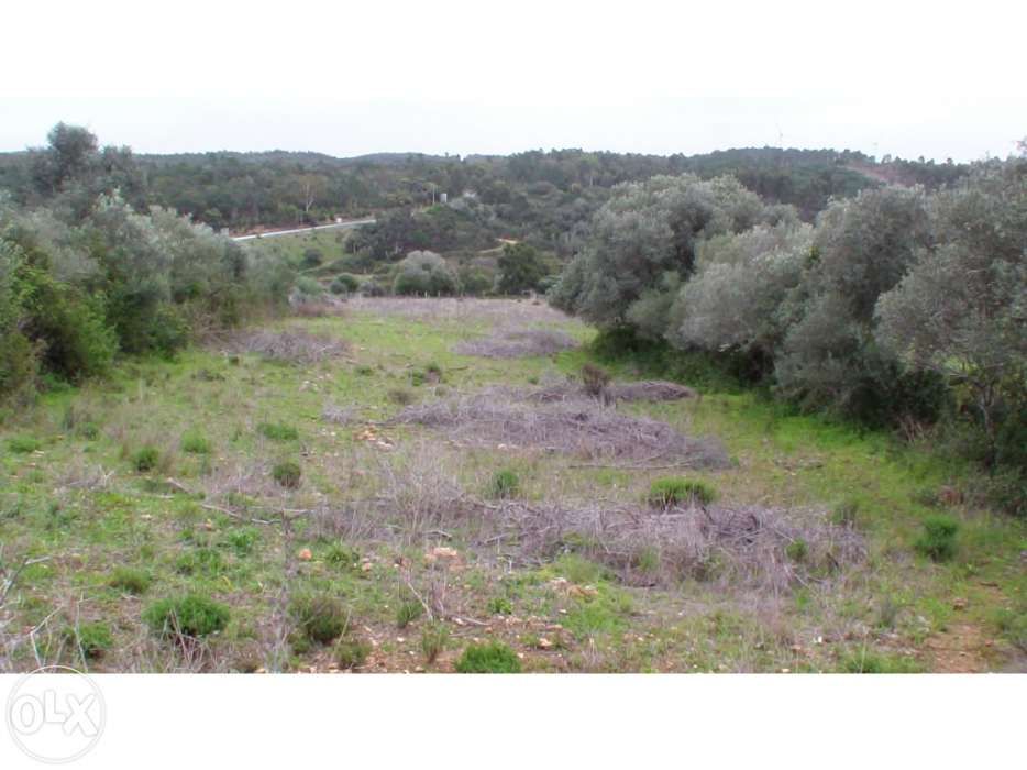 Terreno Aljezur (Parque natural)