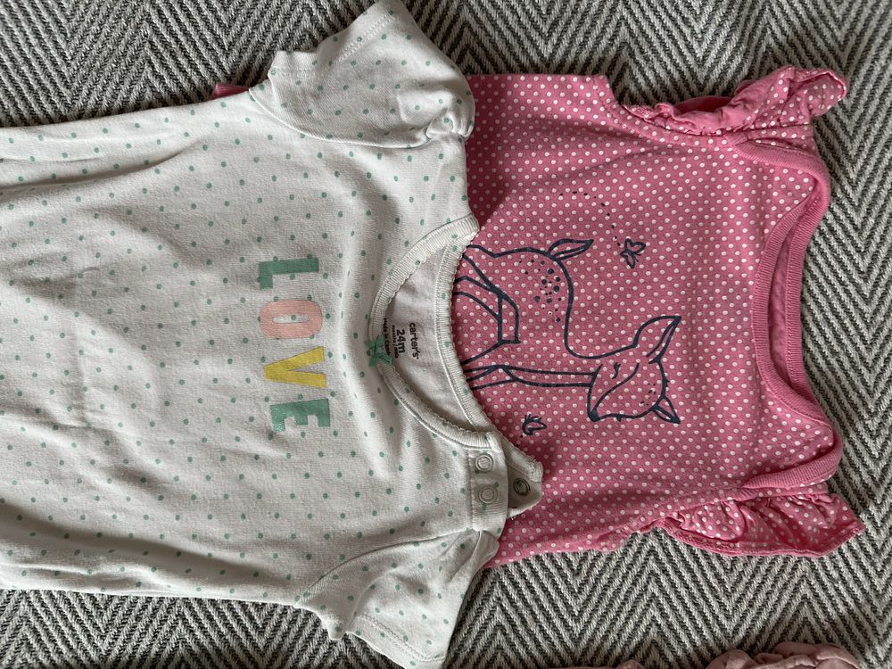 Body gap zestaw carters