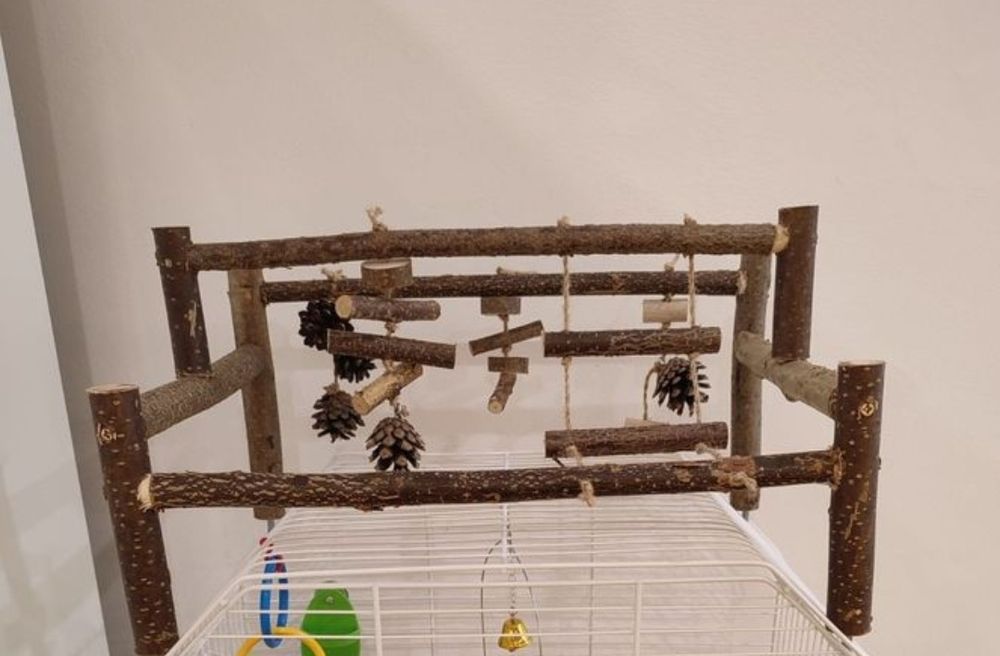 Стенд для папуг, ігрова зона, клітки, стенди, ігровий майданчик