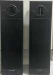 Colunas pioneer CS V5