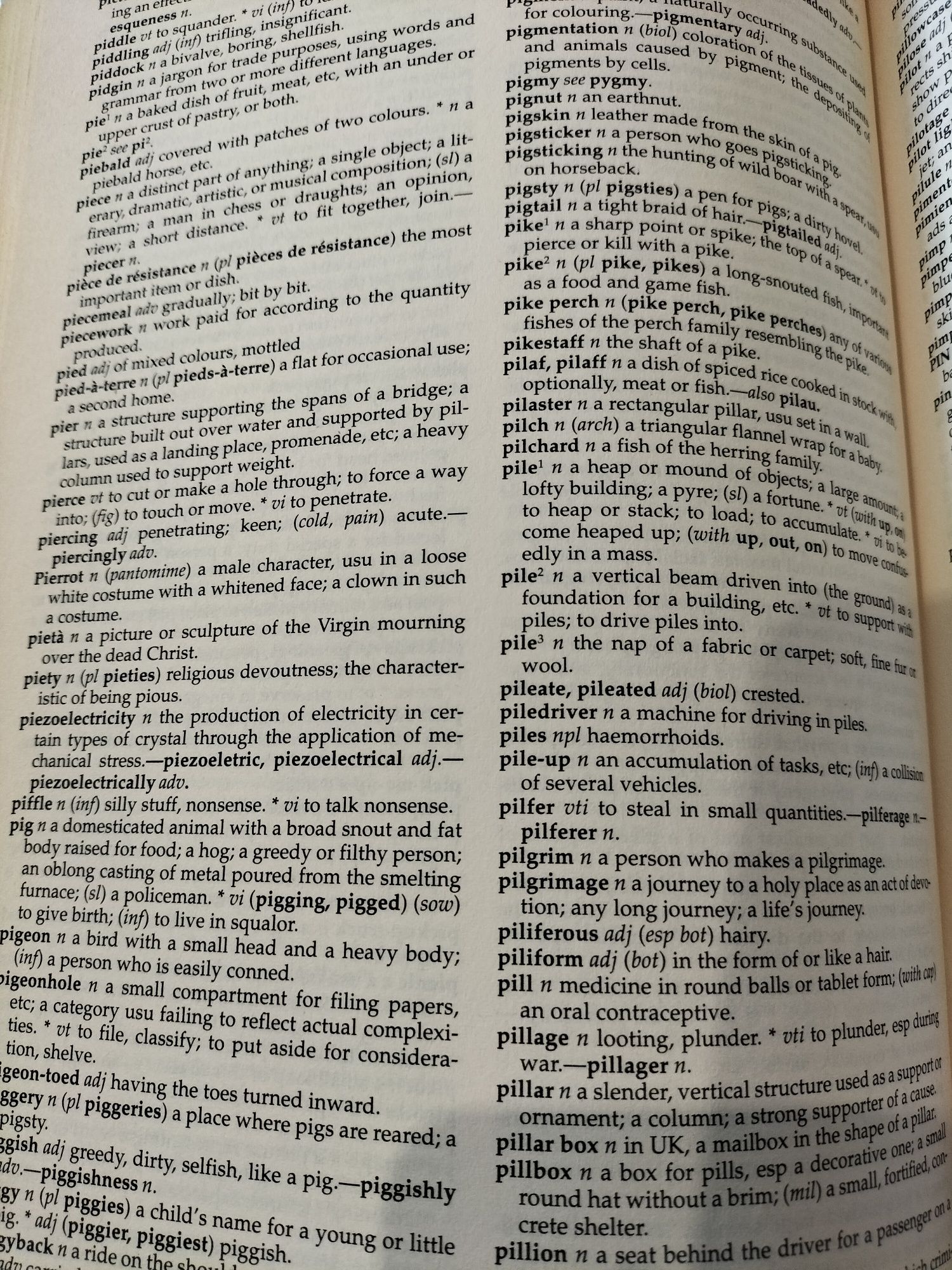 Książka Webster's New English Dictionary And Thesaurus