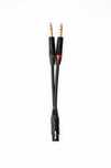 Mytek Metropolis 4PIN XLR - 2X1/4 " Jack Adapter Słuchawkowy