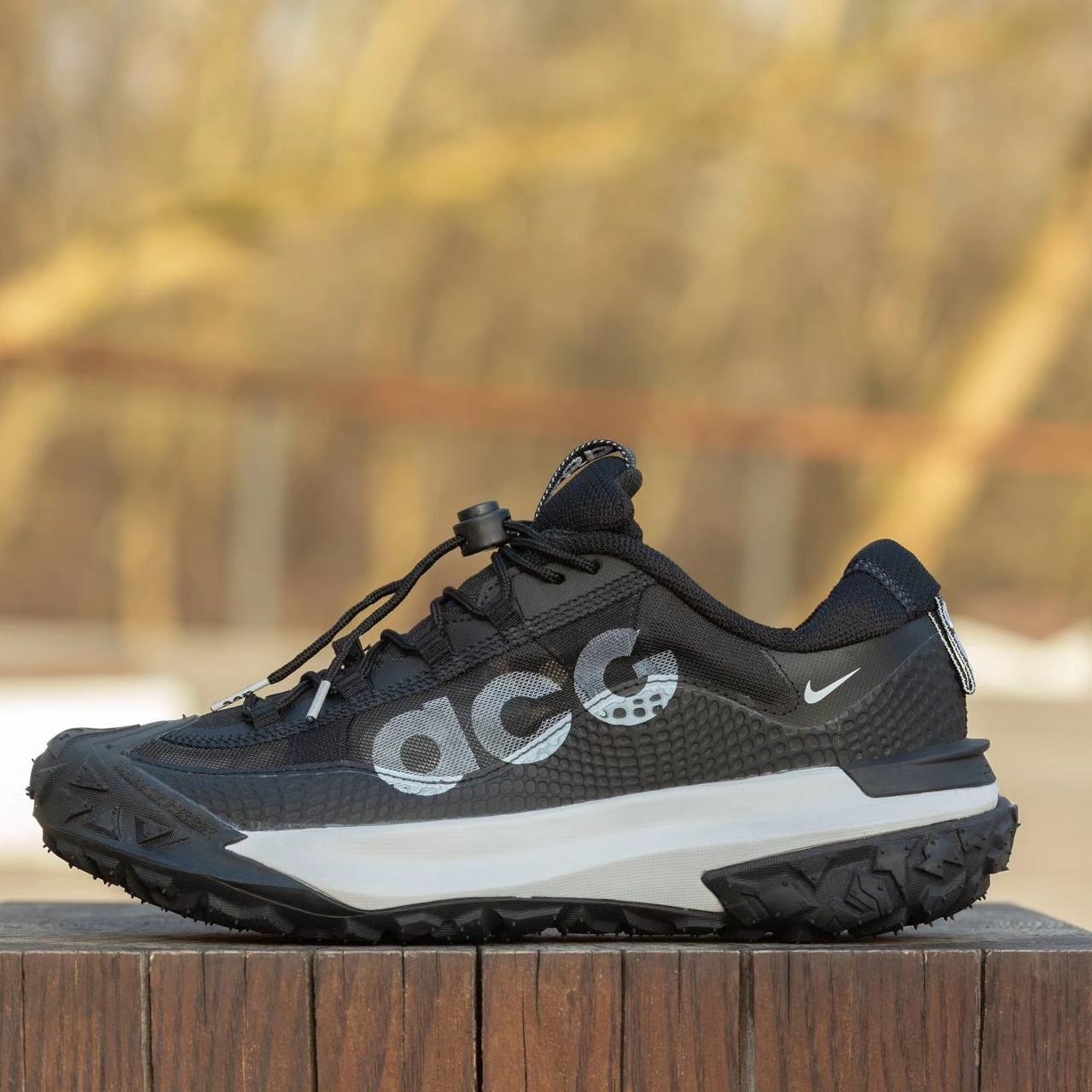 Чоловічі кросівки Nike ACG Mountain Fly 2 Low