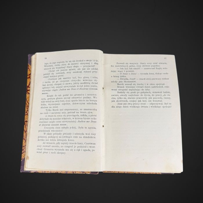 Maria Rodziewiczówna Dewajtis Tom I Powieść J5/073003