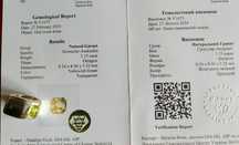 Крупный перстень 900 с редким гранатом гроссуляр-андрадит сертификат
