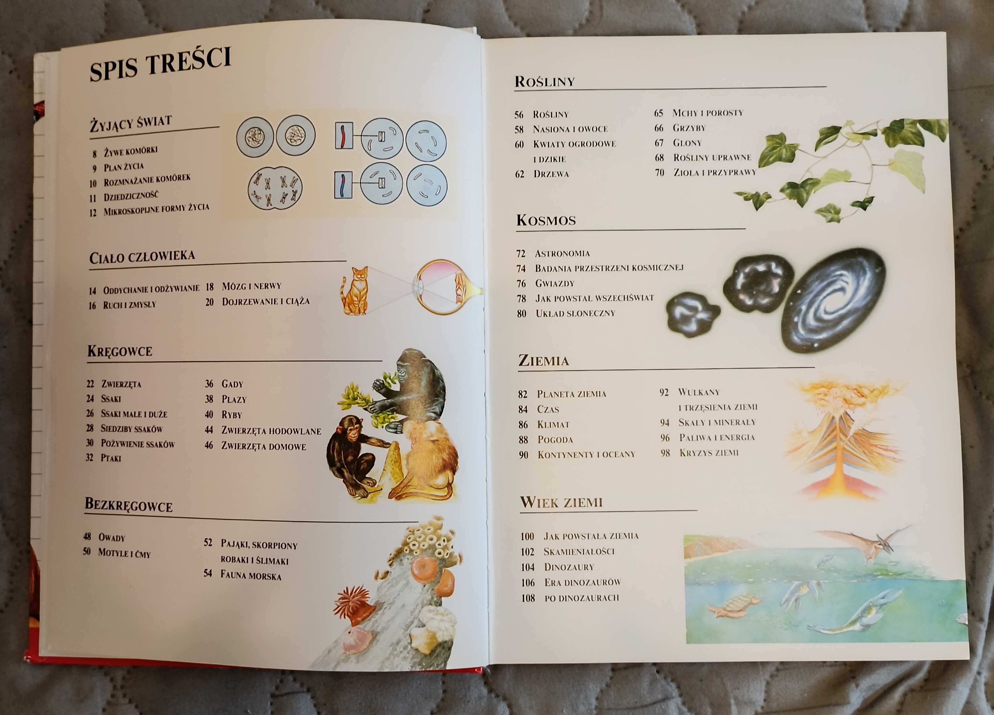 Encyklopedia szkolna Collins Wiedza o świecie w jednym tomie