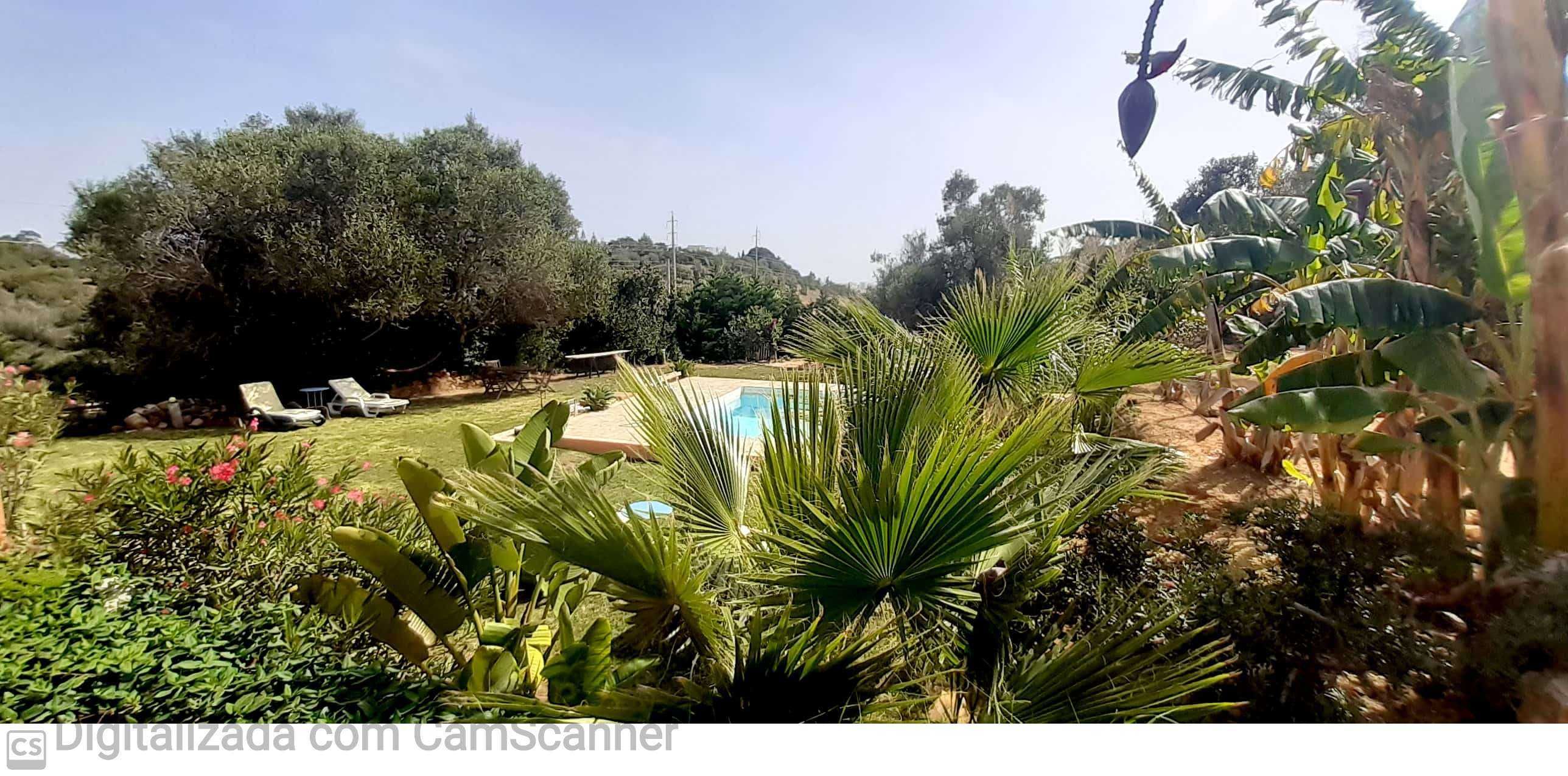 Lagos - Monte Funchal, campo praia e piscina, diversão