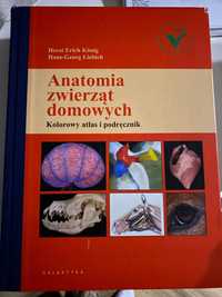 Anatomia zwierząt domowych