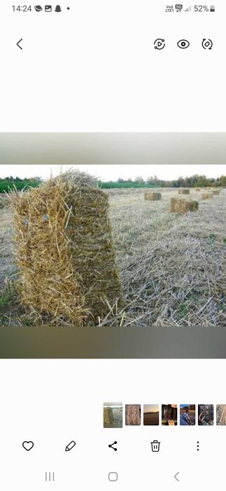 Sprzedam słoma kostka lub balot