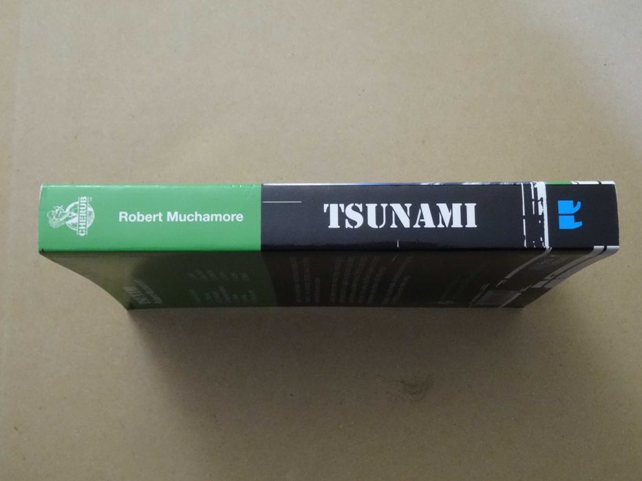 Tsunami de Robert Muchamore