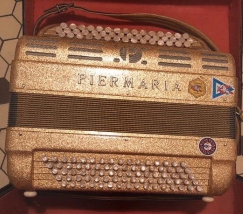 Acordeão Piermaria com registos à 2 voz + mala e correias