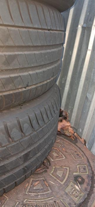 Opony letnie Michelin