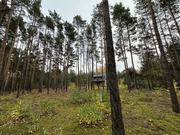 Piękna działka leśna pośród domów letniskowych i całorocznych