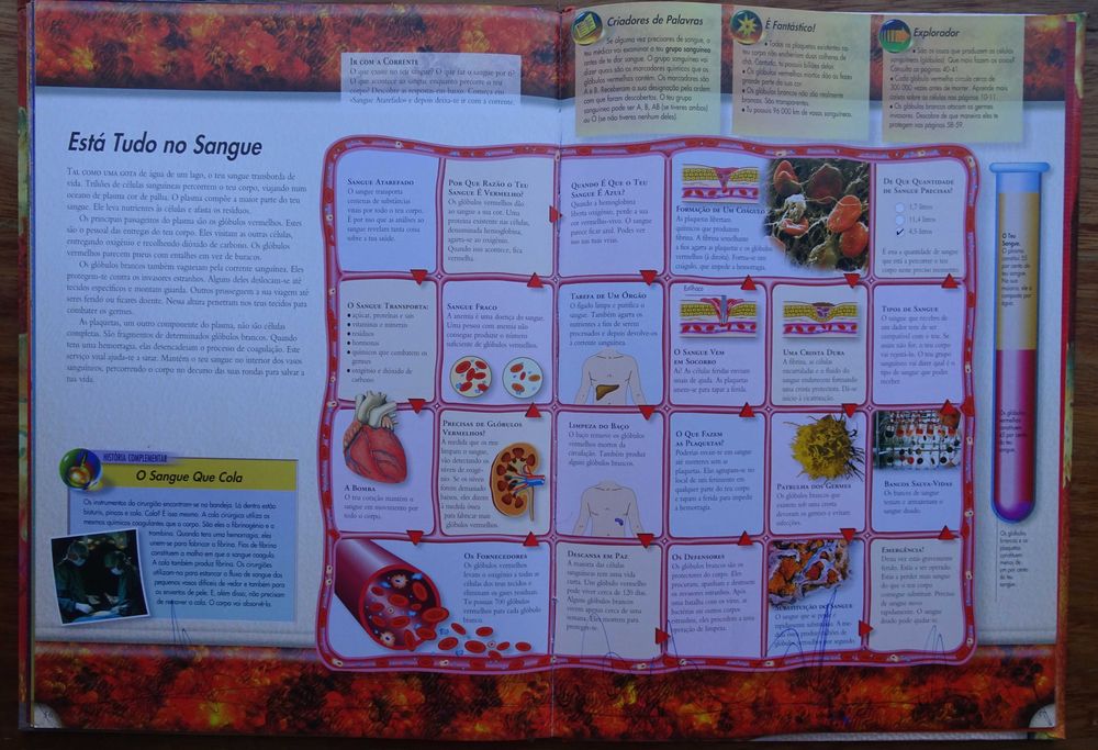 O Corpo Humano (Biblioteca do Jovem Explorador)