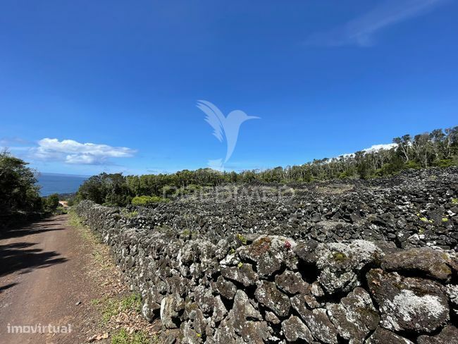 Terreno à venda em Candelária, Madalena do Pico