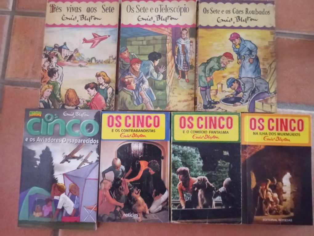 Lote 17 livros dos Cinco e dos Sete