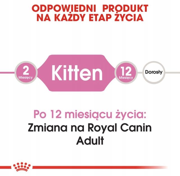 Karma dla maluszków na pierwsze dni. Royal Canin Kitten 400gr Kociaki