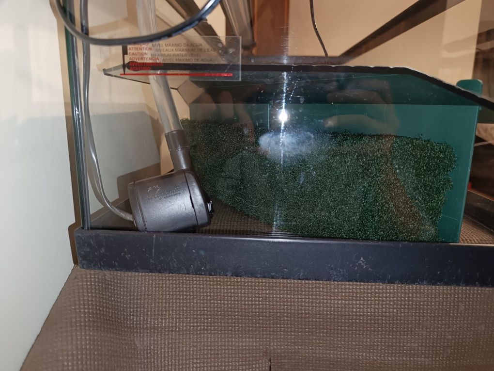 Aquário para tartaruga 75L