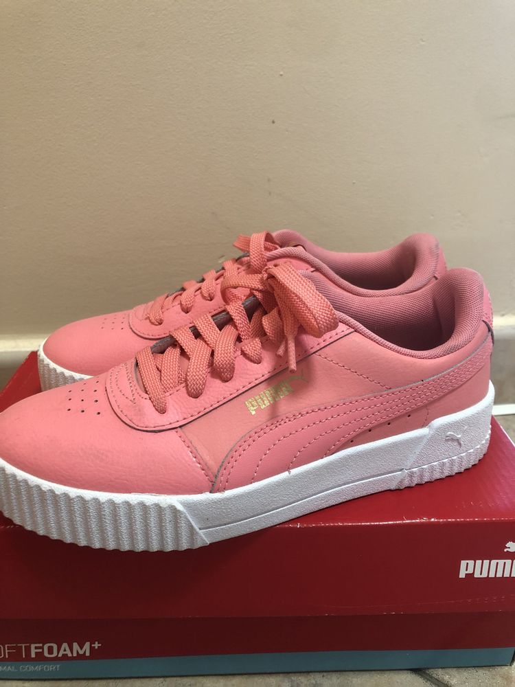 Puma Carina L salmon
