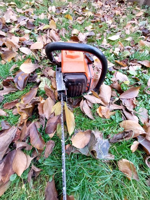 Piła dolpima ps 180